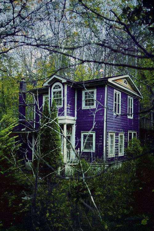 Mysterious Purple House official trailer poster