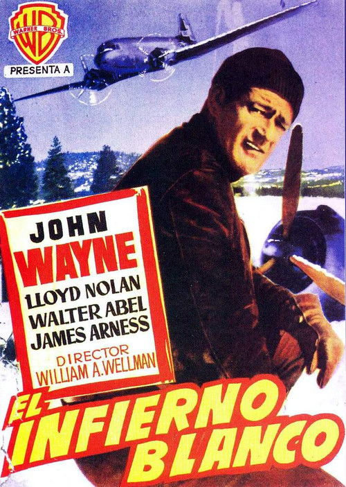 Island in the Sky poster