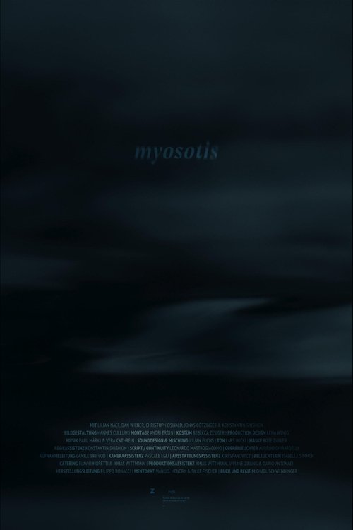 Myosotis