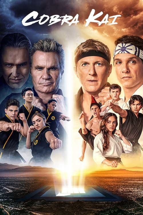 Cobra Kai poster