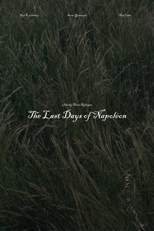 Affiche de The Last Days of Napoléon