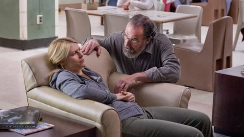 Homeland: 3×2