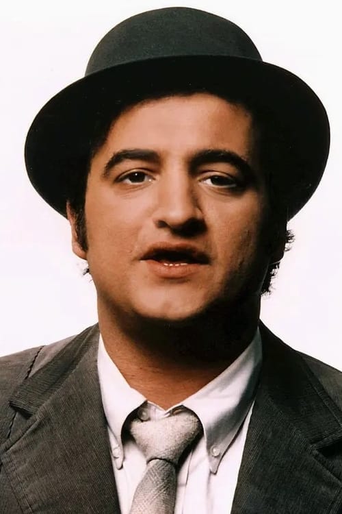 Kép: John Belushi színész profilképe