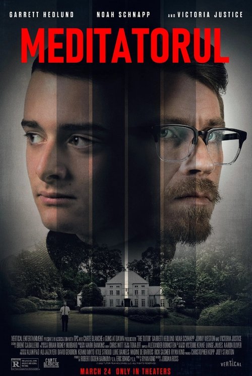 Poster pentru Meditatorul
