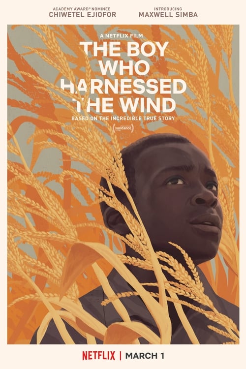 Grootschalige poster van The Boy Who Harnessed the Wind