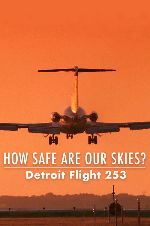 How Safe Are Our Skies? Detroit Flight 253