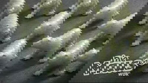 Image de l'épisode 5