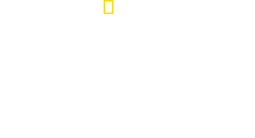 Nasca Lines Decoded