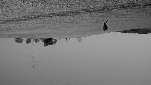 Pena — Backdrops 1