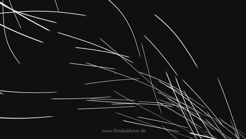 Herbstlaub Bild 1
