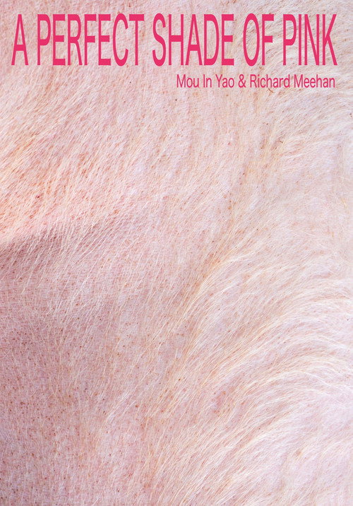 A Perfect Shade of Pink poster