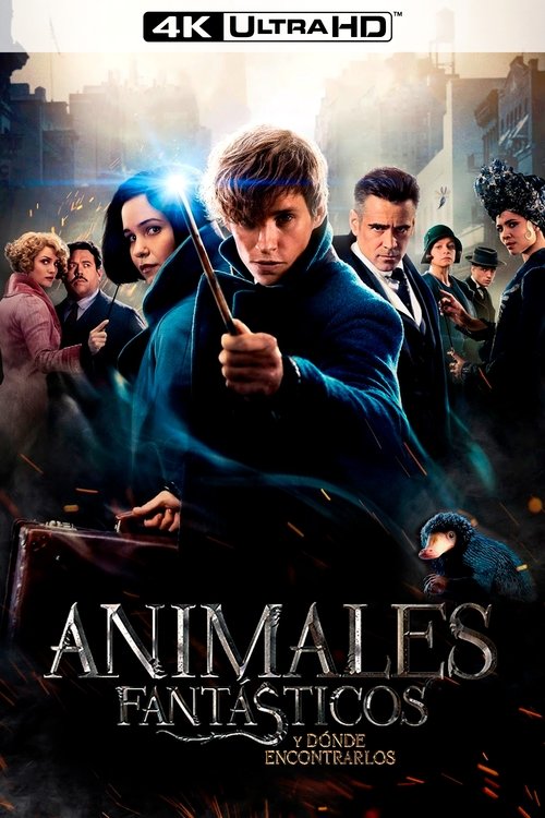 Posters