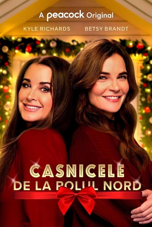 Poster pentru Casnicele de la Polul Nord