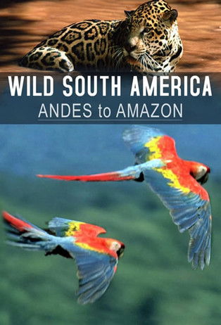 Escena 4 de Andes to Amazon