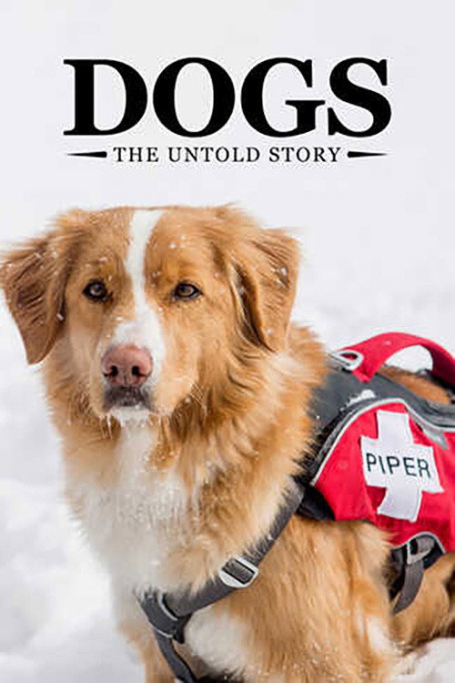 Dogs: The Untold Story (2017) poster