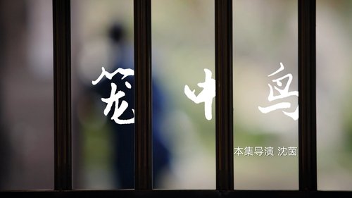 Épisode 6