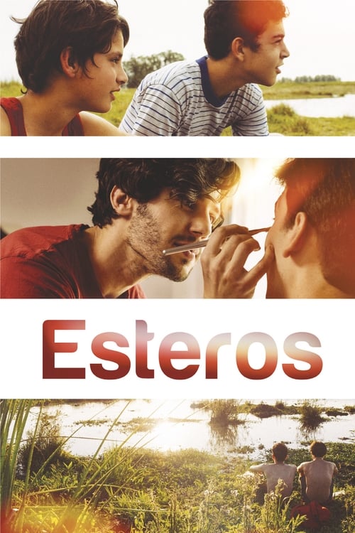 Esteros poster