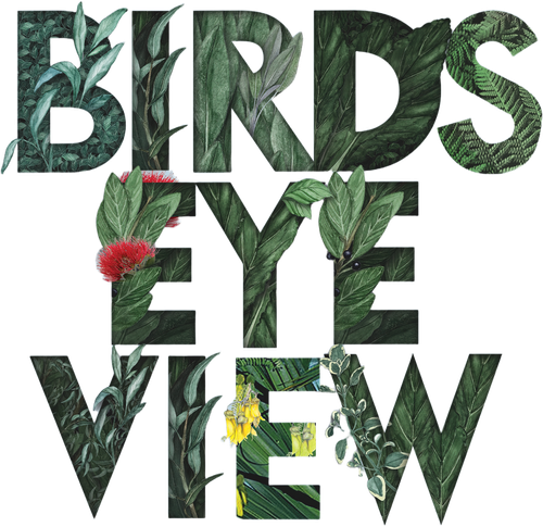 Bird's Eye View | FlixBox