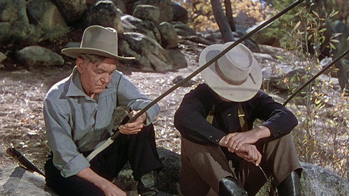 The Shepherd of the Hills