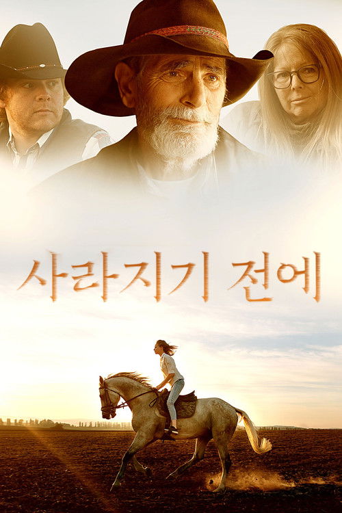 Before They Vanish poster