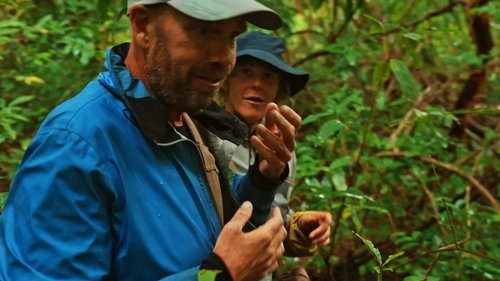 Image de l'épisode 9