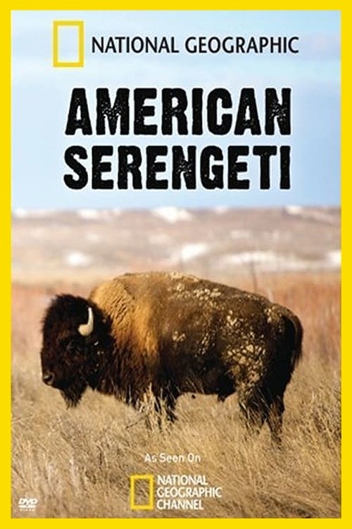 American Serengeti cover