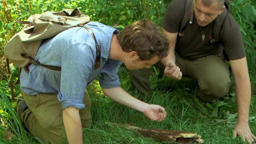 Pieter in Prehistory - Season 1 Backdrop Blur
