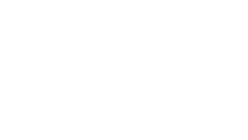 Le Cerveau