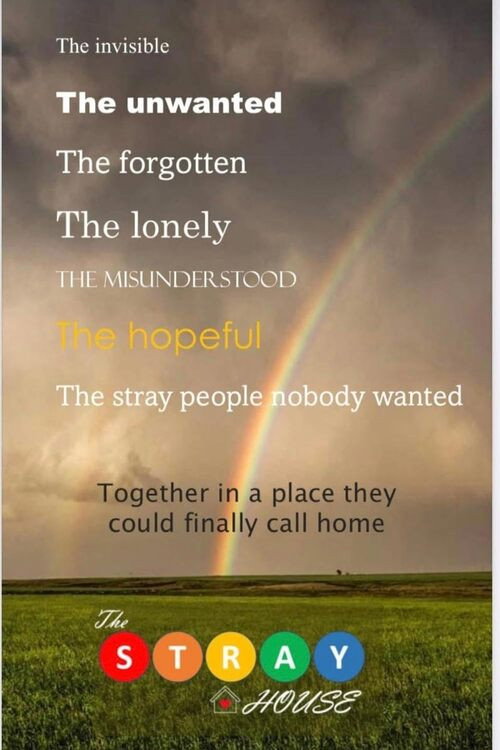 The Stray House