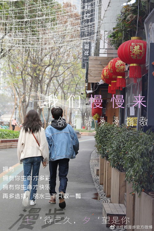 Cheng Du Stroll poster