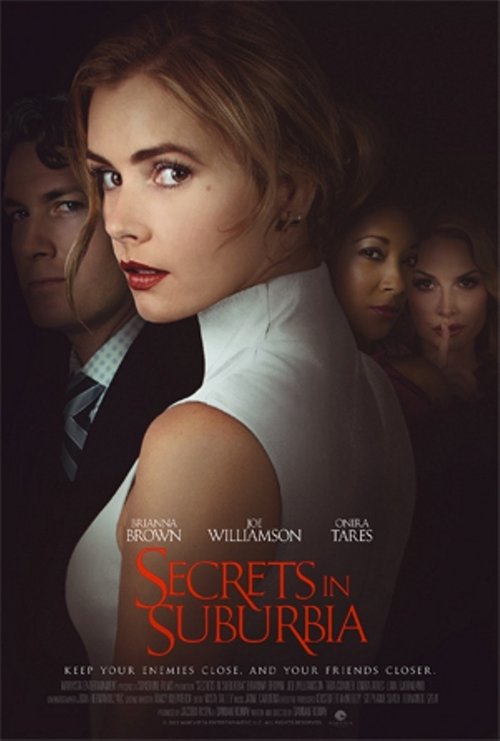 Secrets in Suburbia poster