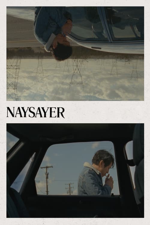 Image Naysayer