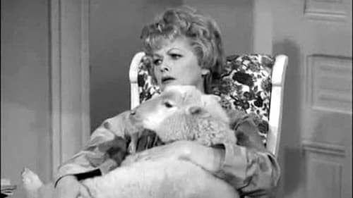 The Lucy Show, S01E05 - (1962)