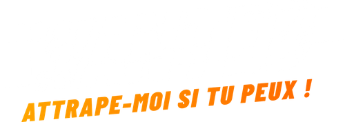 Wanted : Attrape-moi si tu peux !