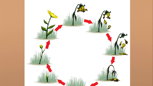 Image de l'épisode Épisode 8