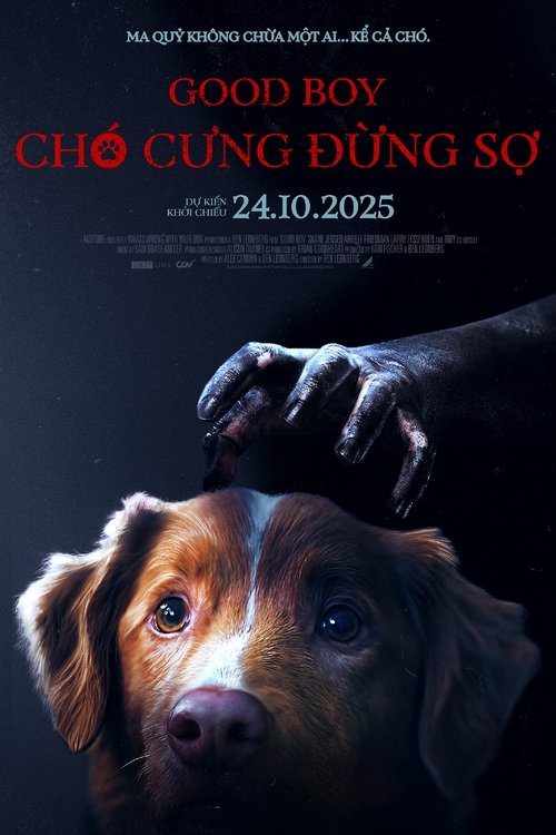 Poster Chó Cưng Đừng Sợ