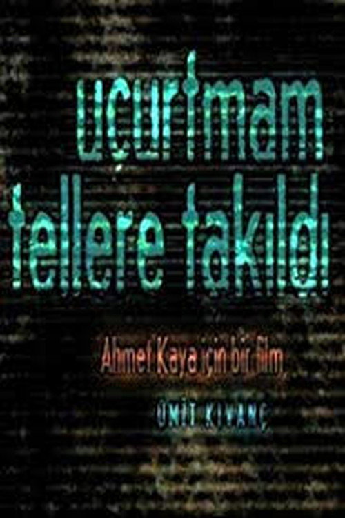 Uçurtmam tellere takildi