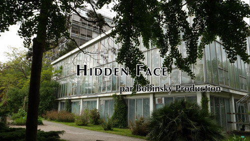 Hidden Face