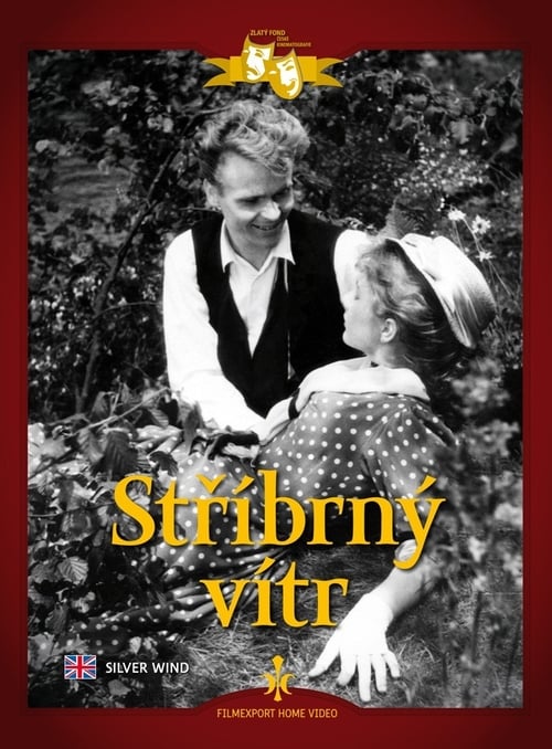 Stříbrný vítr (1956) poster