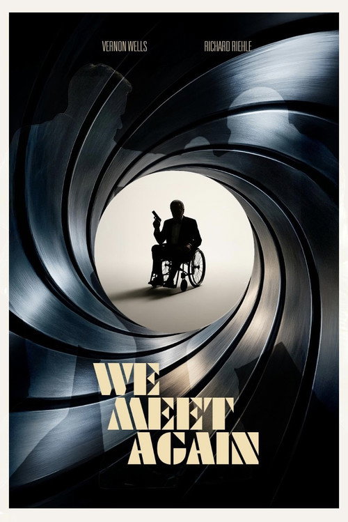 We Meet Again Poster
