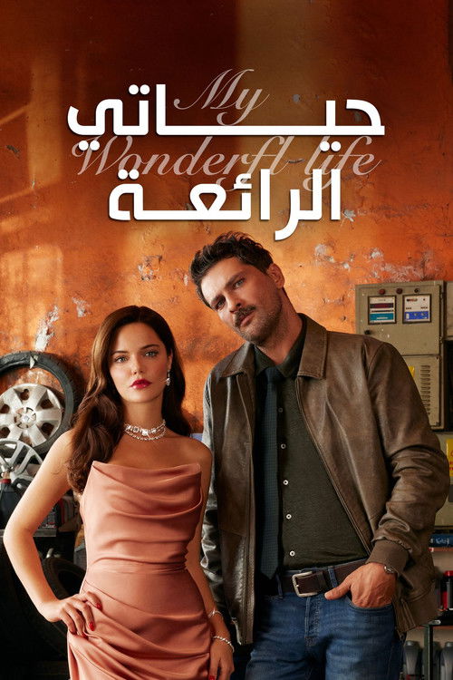 حياتي الرائعة - Poster