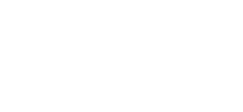 Boise Boys