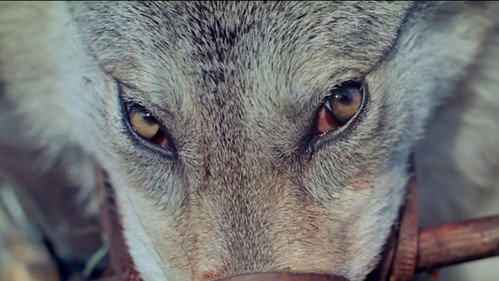 War and Peace, Part II: Natasha Rostova