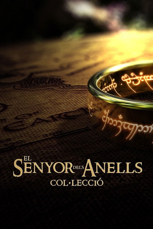 Pòster de El Senyor dels Anells - Col·lecció
