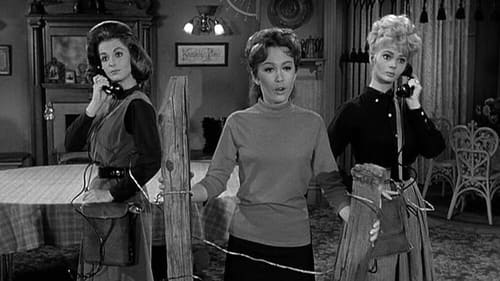 Petticoat Junction, S02E17 - (1965)