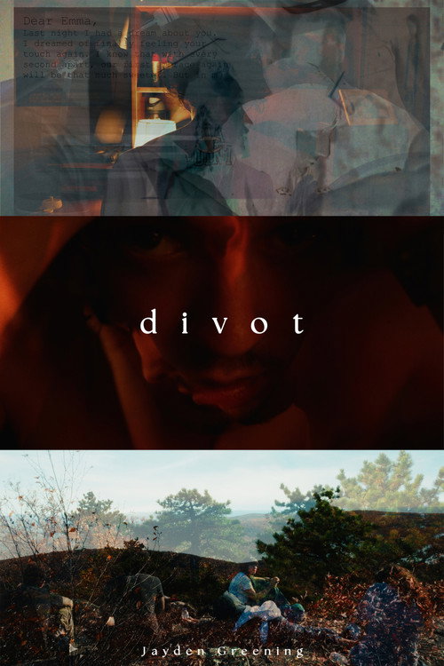 Divot