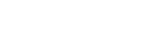 East New York: Uma Nova Lei - Logo 2