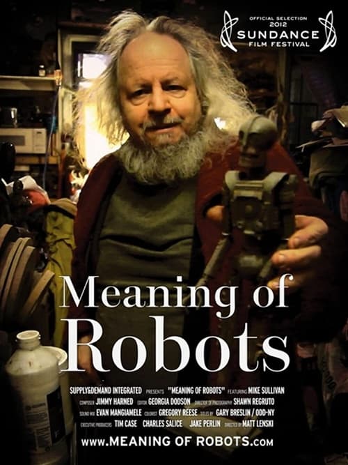 Meaning of Robots poster