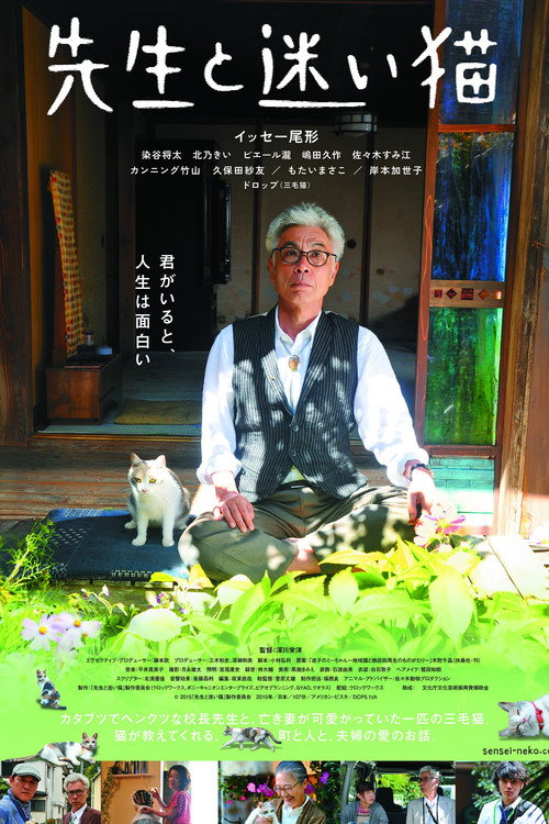 先生と迷い猫 постер