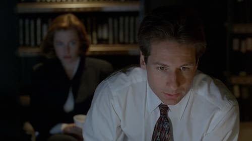 The X-Files: 2×23